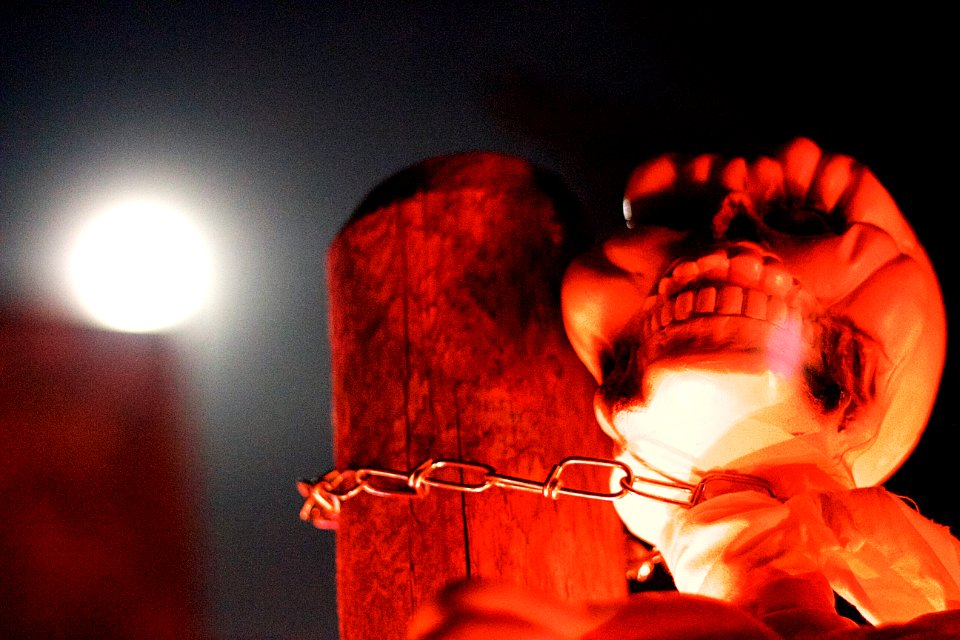 2020/366/306 Does This Moonlight Make Me Look Bony?