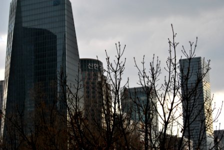 Yeouido Flower Festival