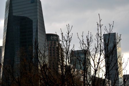 Yeouido Flower Festival photo