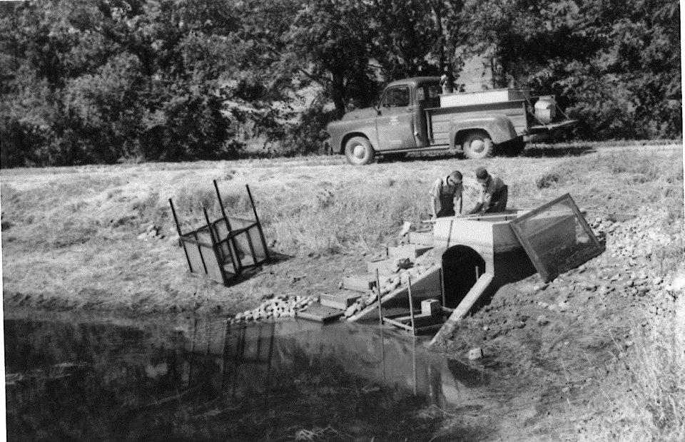 Draining hatchery ponds at Valley CIty NFH