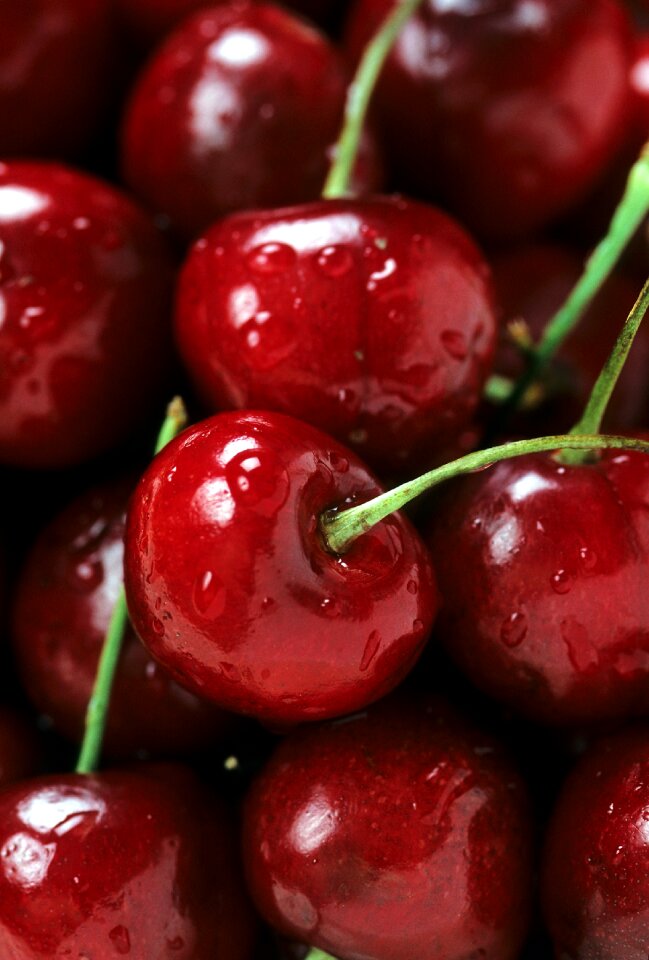 Red berries ripe