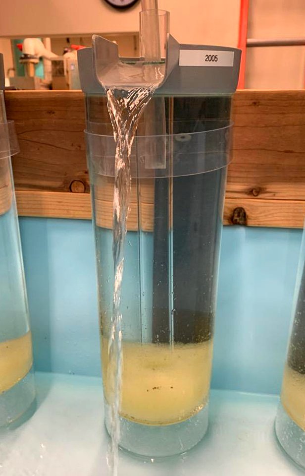 McDonald style incubation jar with approximately 40,000 razorback sucker eggs