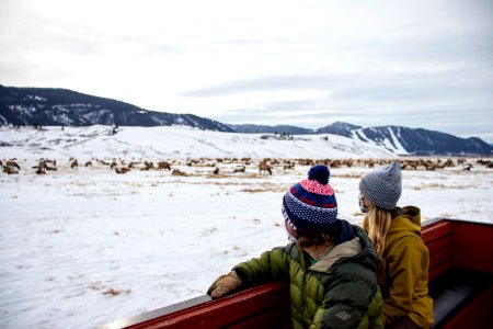 Winter Sleigh Ride