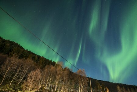 Night green sky