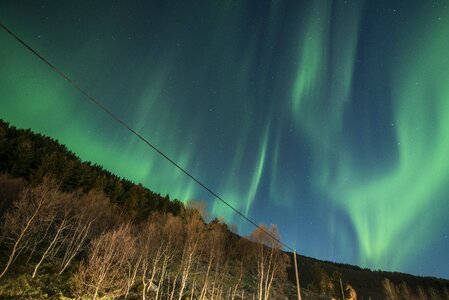 Night green sky photo