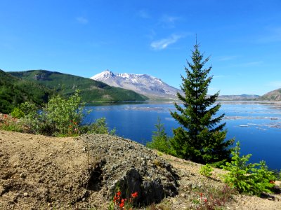 Spirit Lake at Mt. St. Helens NM in Washington photo