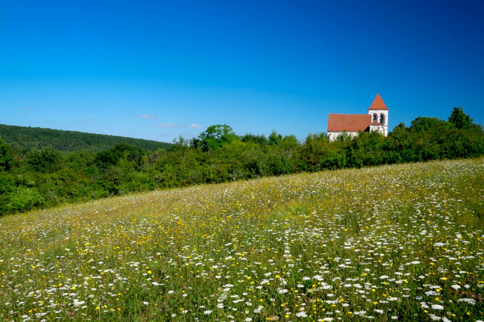 Prégilbert (Yonne Bourgogne)