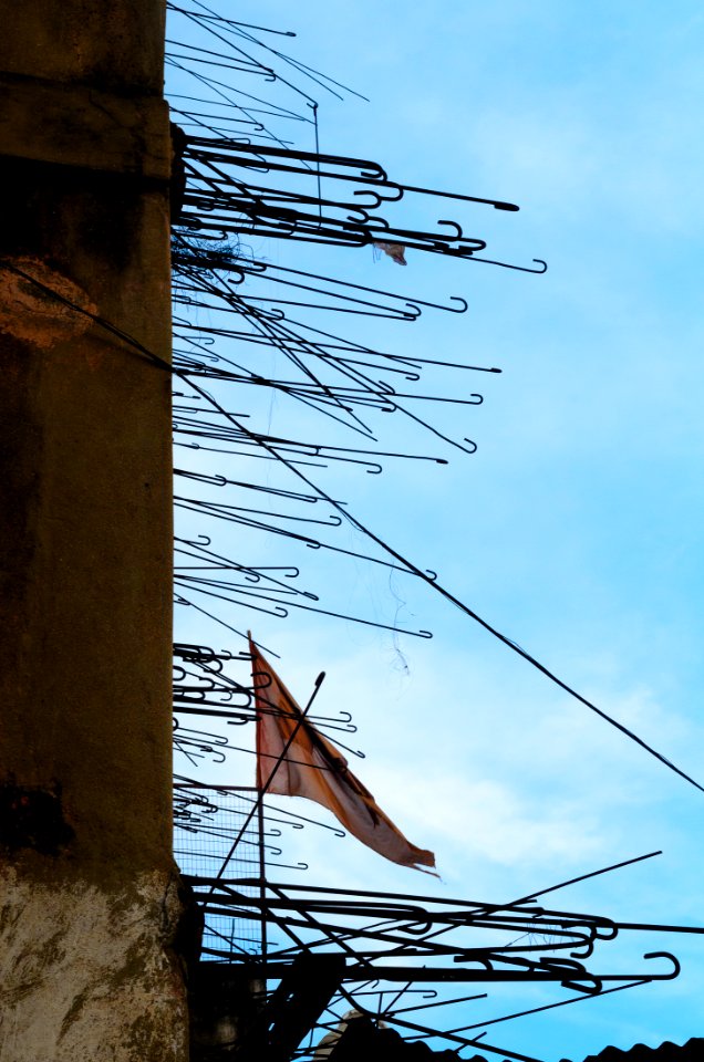 Flag