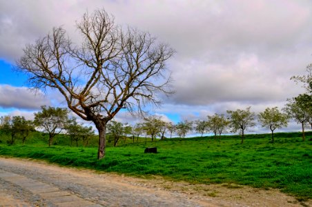 Almeida Portugal photo