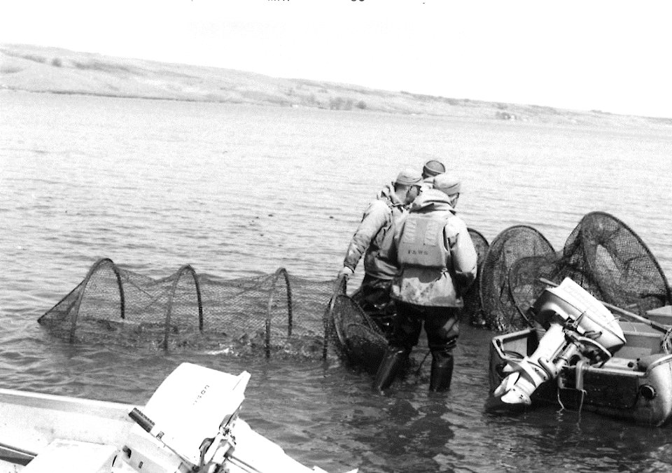 Checking trap nets