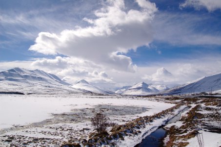 Dalvík view