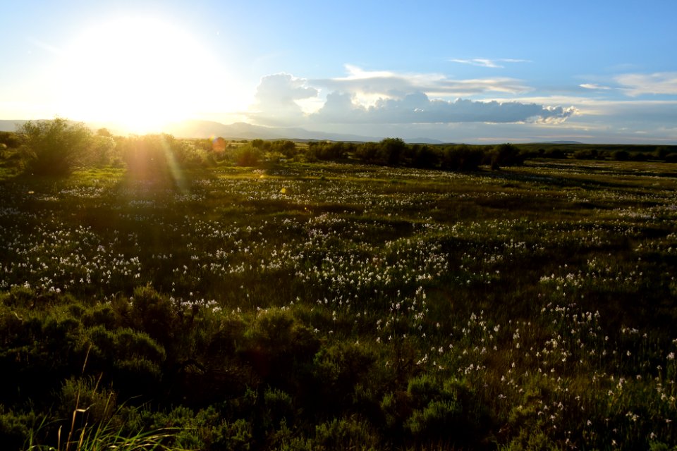 Illinois River on Arapaho National Wildlife Refuge