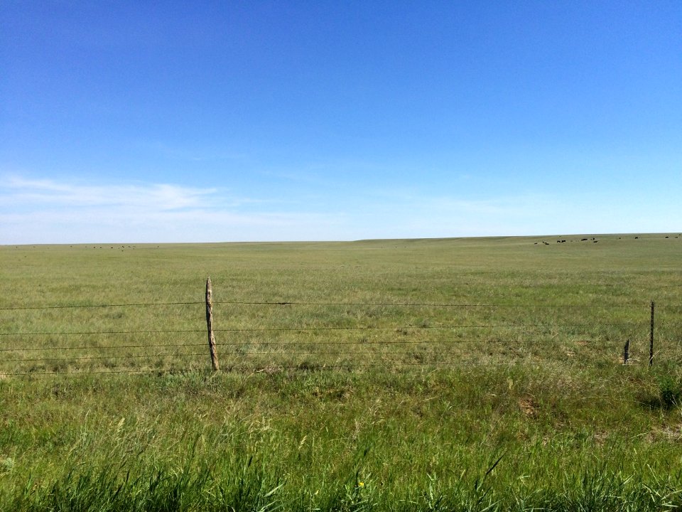 Musselshell Co, MT, Scott Somershoe