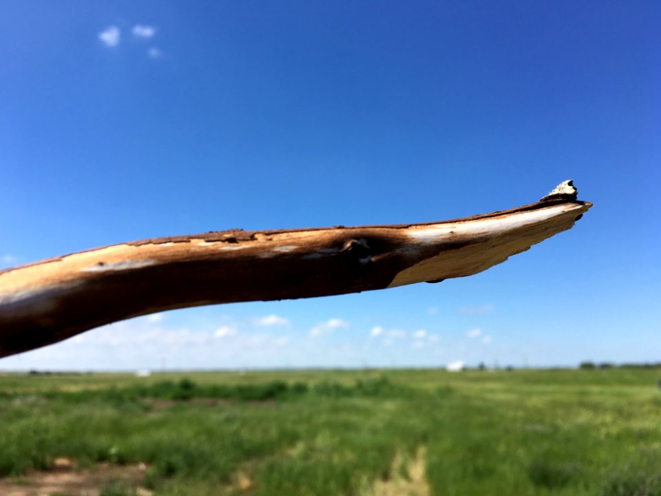 Pointer in the Sky