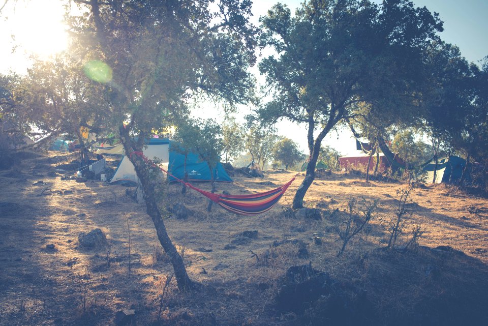 Foto by Aga Boom Festival 2016 (25 of 177)
