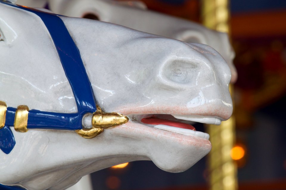 Winner By a Nose