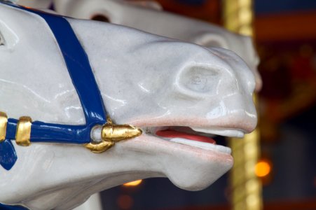 Winner By a Nose