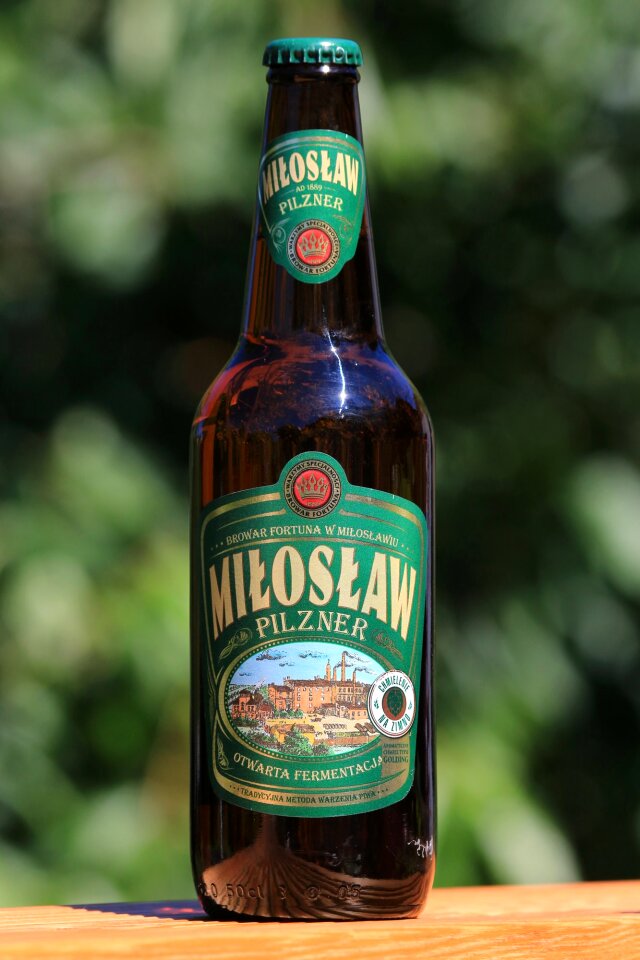 Beer ale miloslaw