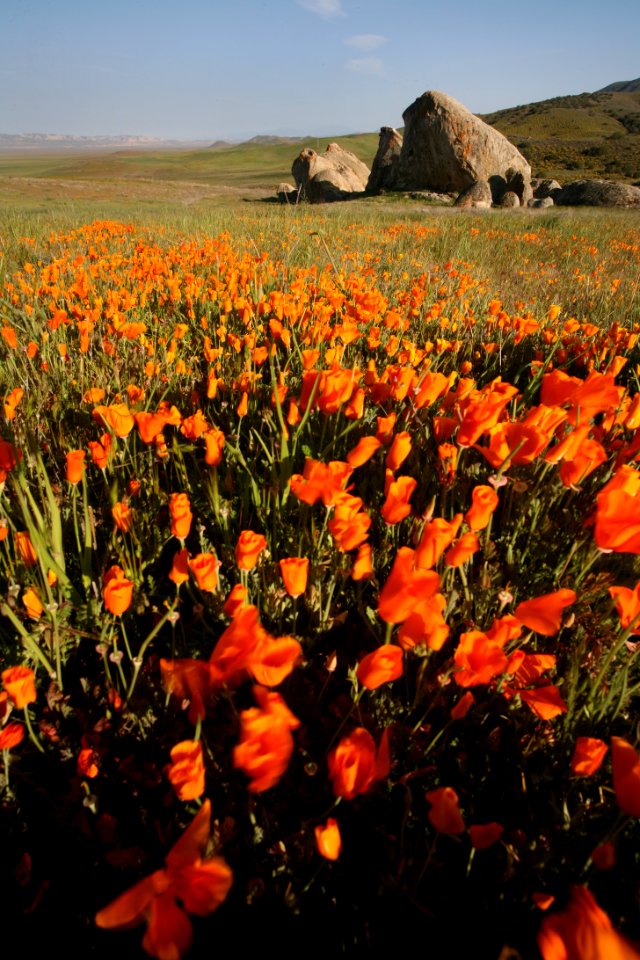 Carrizo Plain National Monument