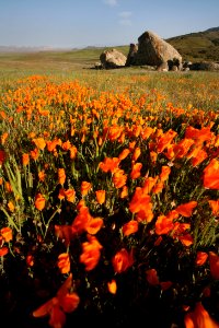 Carrizo Plain National Monument