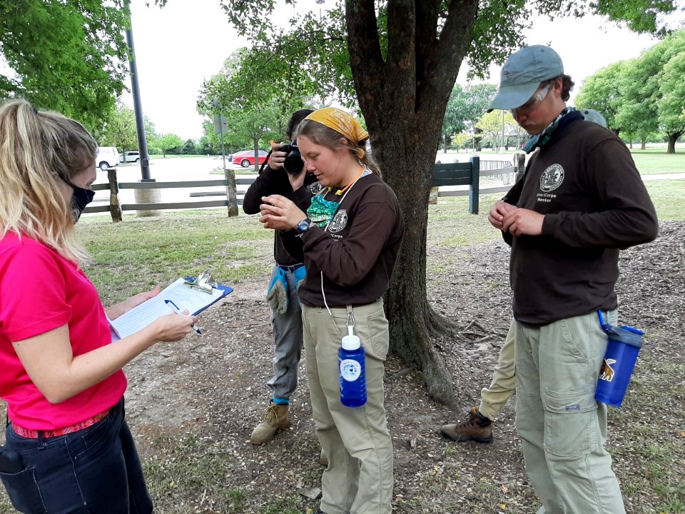 Monarch tagging at Great Plains Nature Center