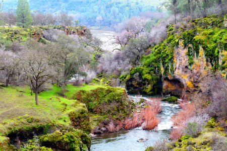Sacramento River Bend Outstanding Natural Area