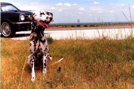 On the Road in West Texas
