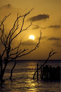 Sea nature sky