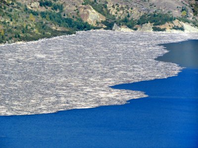 Logjam at Spirit Lake at Mt. St. Helens in Washington photo