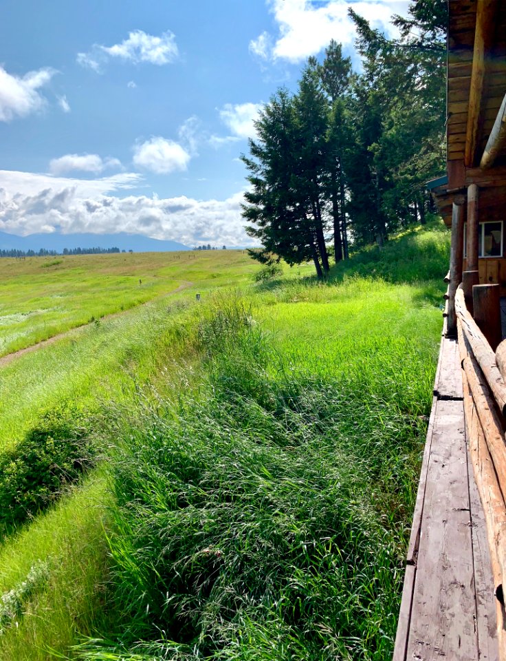 Blackfoot Valley CA, MT