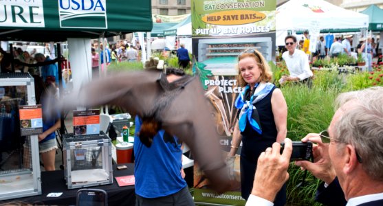 20150619-OSEC-LSC-0106