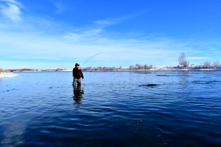 Winter time flyfishing at Seedskadee National Wildlife Refuge photo