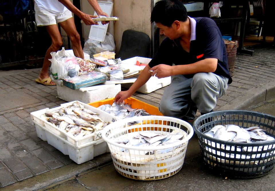 Clothese Basket Full of Fish