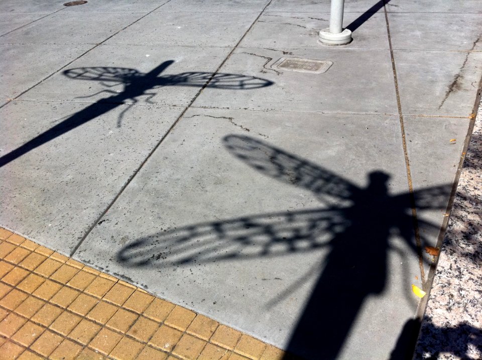 Bugs Are Coming!