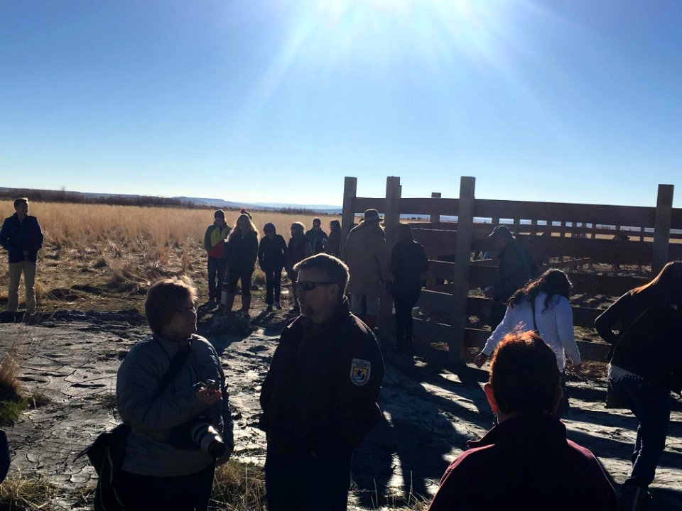 Bison Release 1