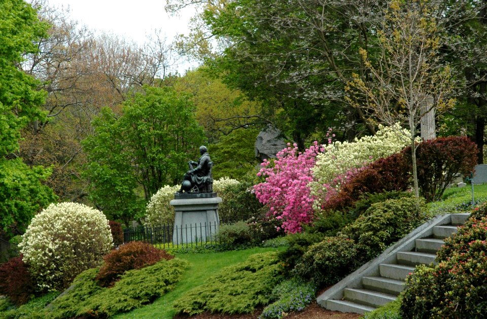 Mount Auburn Cemetery, May 2010