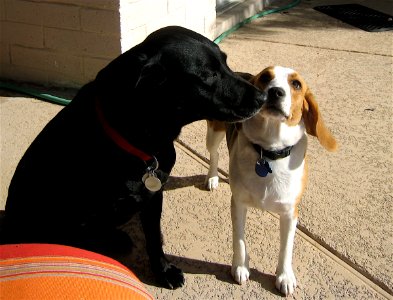 Friends