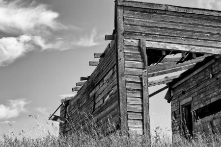 2018/365/246 Rustic is As Rustic Does