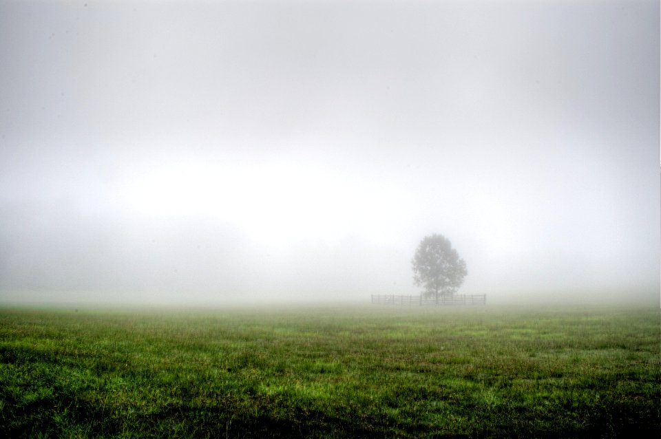 Princeton Battlefield Park