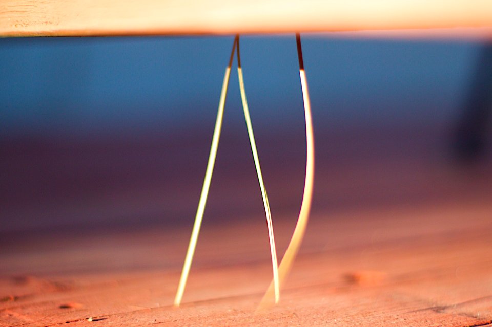 2009/365/271 Needle Dance
