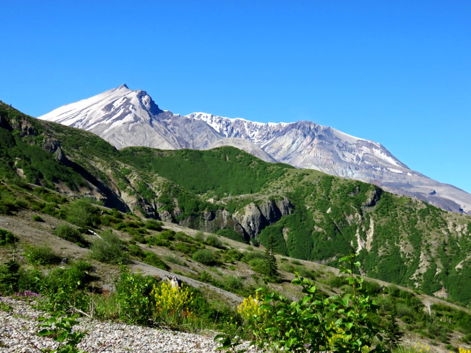 Windy Ridge at Mt. St. Helens NM in Washington