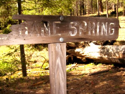 Dane Spring