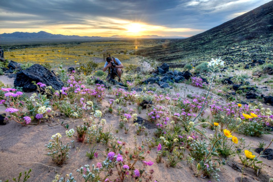 Amboy Crater photo