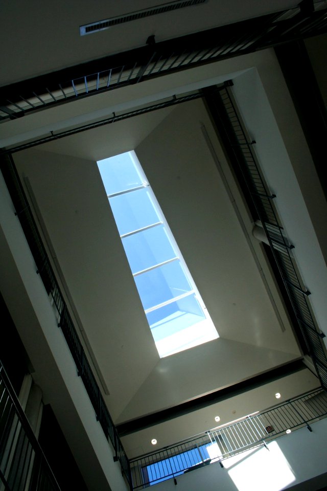 Ceiling Neck Stretch