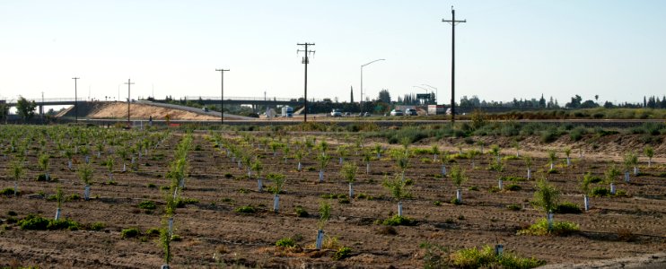 20150723-NRCS-LSC-0308 photo