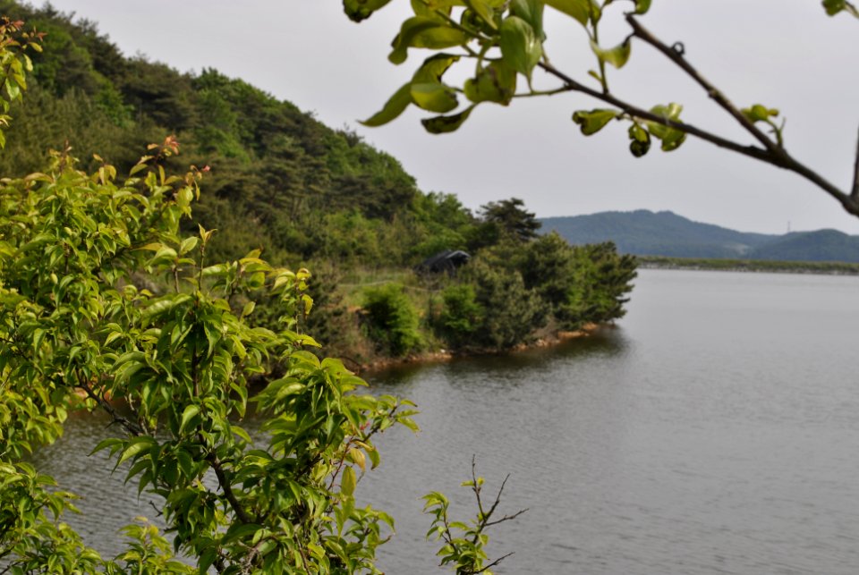 Anmyeondo Farm Area