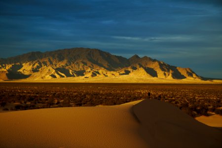 Cadiz Dunes Wilderness