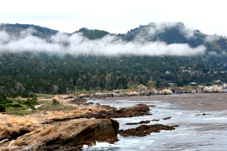 Point Lobos Mood