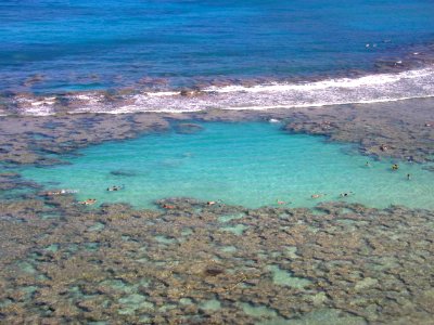 Hanauma Bay Reef