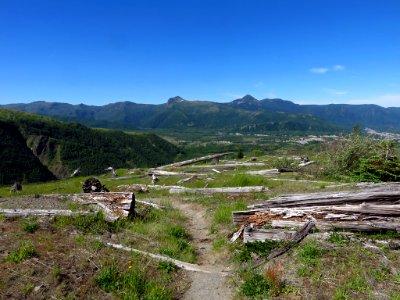 Coldwater Lake Trail at Mt. St. Helens NM in Washington photo